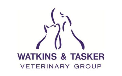 Hosted Telephony Case Study: Watkins & Tasker Veterinary Group