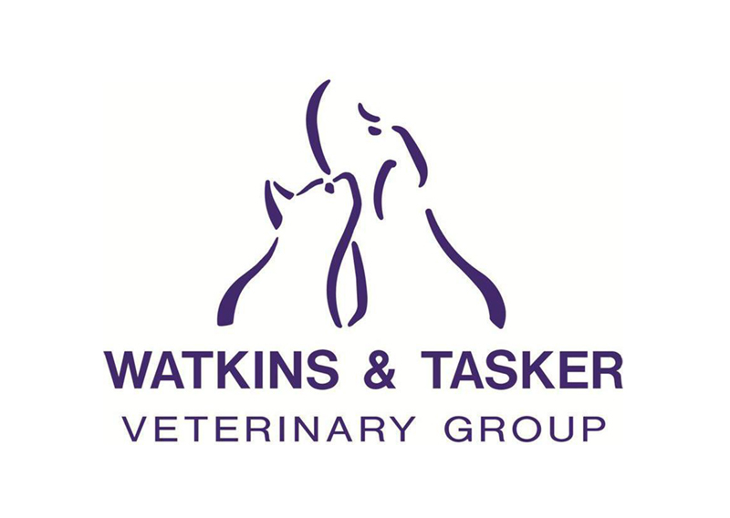 Hosted Telephony Case Study: Watkins & Tasker Veterinary Group